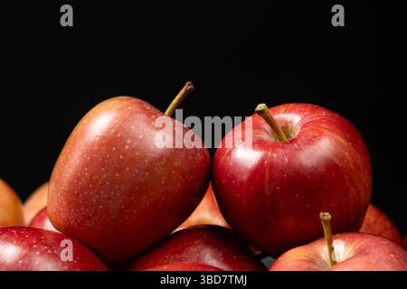 Pommes biologiques rouges juteuses. Fruits frais sains. Banque D'Images