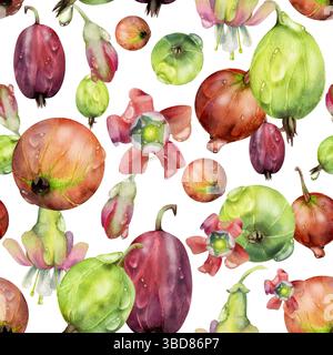 Groseille Currant baies de jardin, fleurs dispersées dans des gouttes de rosée d'eau dessinées à la main à l'aquarelle. Motif isolé sans couture. Conserves pour la maison, textile Banque D'Images