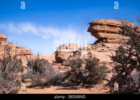 Formations de grès érodées et végétation désertique dans les Arches Nati Banque D'Images