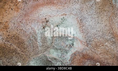 Vue aérienne de salines désertiques abstraites avec texture ramifiée Banque D'Images
