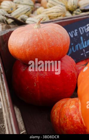Citrouilles rouge-orange empilées dans une caisse rustique à un stand de ferme Banque D'Images