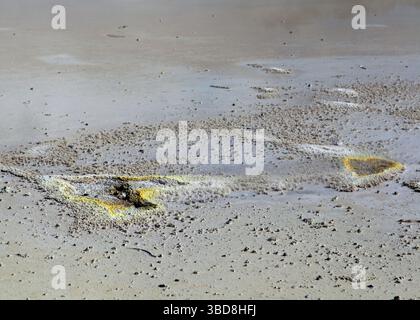Trous d'évent de soufre dans une zone géothermique Banque D'Images