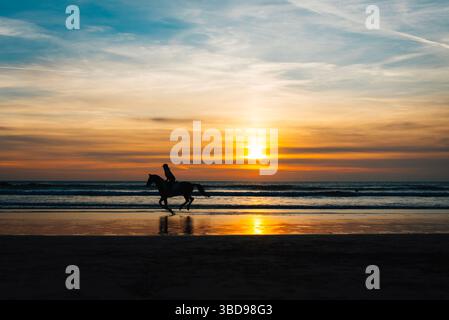 Silhouette d'un cheval et cavalier sur la plage de Perranporth, Cornwall, au coucher du soleil, avec des reflets dorés sur le sable humide et des vagues qui roulent doucement. Banque D'Images