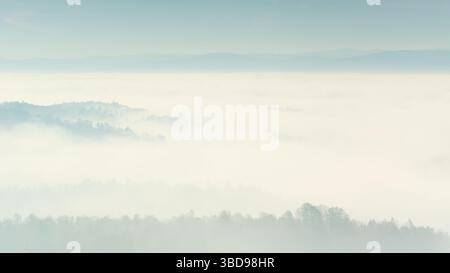 Colline envahie de forêts dépasse du brouillard, grande étendue remplie de brouillard Banque D'Images