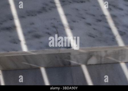 Escaliers minimalistes en marbre blanc avec forte lumière du soleil projetant des ombres rayées. Texture architecturale abstraite Banque D'Images
