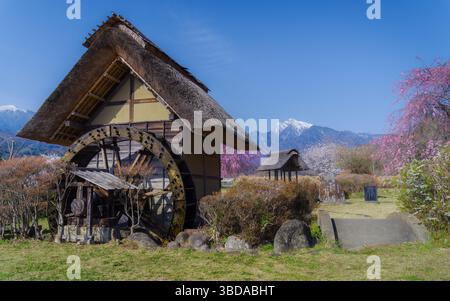 Printemps à Suisha-no-Sato Koen (Waterwheel Village Park) à Hokuto, préfecture de Yamanashi, Japon, où les cerisiers en fleurs roses et blanches éclatantes encadrent Banque D'Images