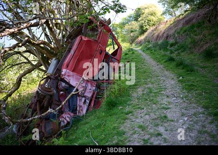 abandonné voiture rouge écrasée renversée par le côté de la voie dans un arbre en zone rurale Banque D'Images