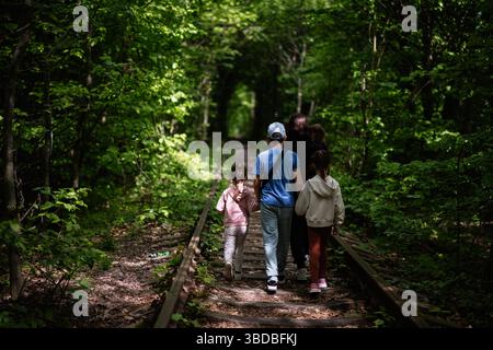 Un groupe profite d'une promenade paisible à travers une forêt luxuriante sur une ancienne voie ferrée Banque D'Images