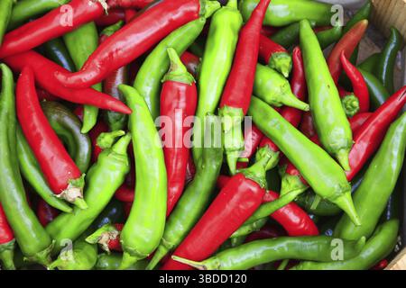 Piments rouges et verts Banque D'Images