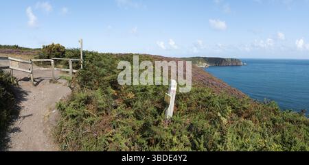 Sentier côtier de randonnée à travers le lilas et violet heath prés sur la Côte d'Émeraude, dans le nord de la France Banque D'Images