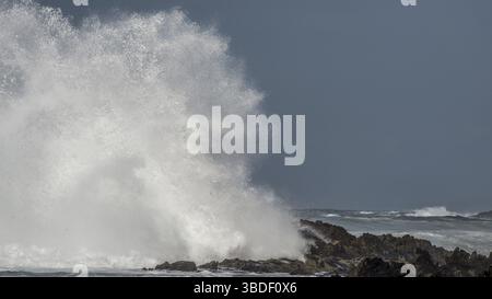 Une vague massive s'écrase contre les rochers du rivage à Storms River Mouth et crée une grande éclaboussure Banque D'Images