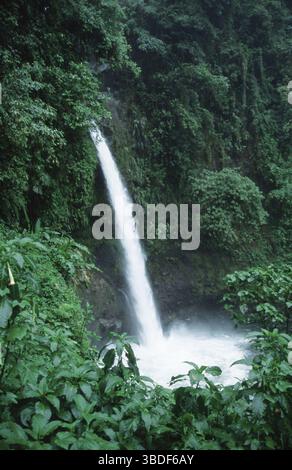 Cascade dans la forêt tropicale humide, Costa Rica Banque D'Images