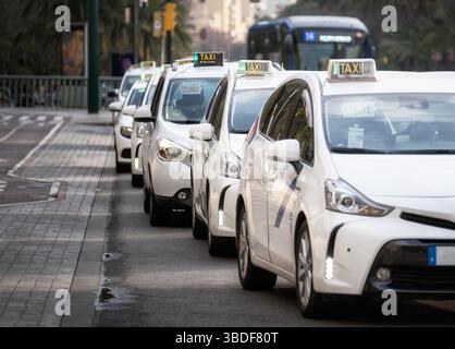 Gamme de taxis urbains : vue de jour de taxis blancs attendant les passagers dans une rue animée de la ville, avec un bus en arrière-plan Banque D'Images