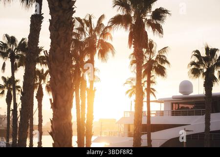 Coucher de soleil doré sur la silhouette de la marina avec yacht de luxe et palmiers imposants, capturant l'ambiance sereine d'une escapade côtière Banque D'Images