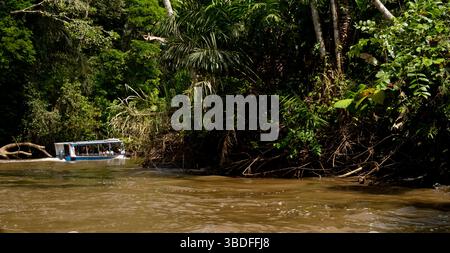 Touristes appréciant une excursion en bateau sur une rivière entourée par la végétation luxuriante de la jungle dans le parc national de tortuguero, costa rica Banque D'Images