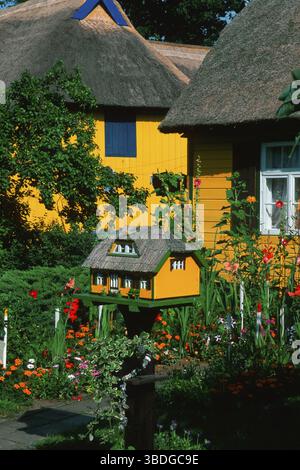 Maquette de maison au toit de chaume, Born, Darss, Mecklembourg-Poméranie occidentale, Allemagne Banque D'Images