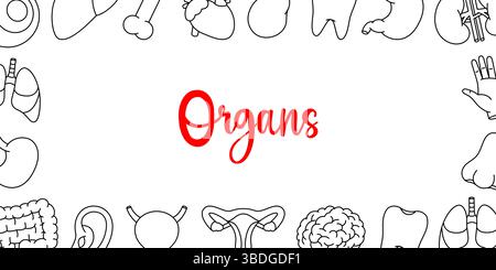 Bannière de contour horizontal d'organes humains. Anatomie des organes internes. Cœur, reins, vésicule biliaire, dent, cerveau, œil, main, nez, os, oreille, vessie Illustration de Vecteur