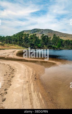 Loch Grannoch, parc forestier de Galloway, Dumfries et Galloway, Écosse Banque D'Images