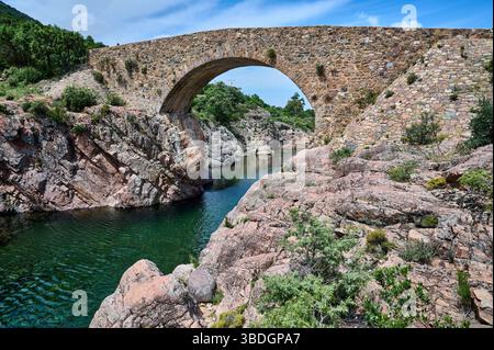 Vieux Pont de pierre Ponte Vecchio sur la rivière Fango en Corse Banque D'Images