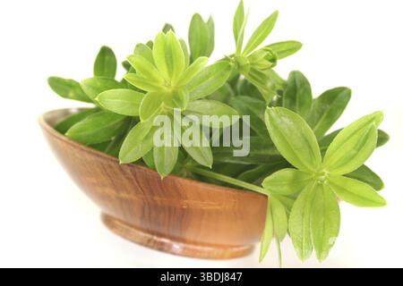 Woodruff frais dans un bol en bois sur un fond blanc Banque D'Images