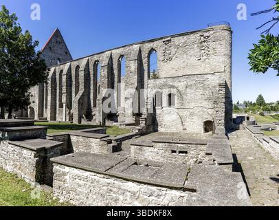 Pirita, Estonie - 6 août 2021 : vue sur les ruines du couvent Saint Brigitta à Pirita près de Tallinn Banque D'Images