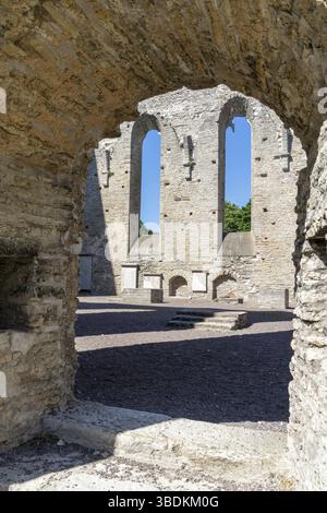 Pirita, Estonie - 6 août 2021 : vue détaillée des ruines du couvent Saint Brigitta à Pirita près de Tallinn Banque D'Images