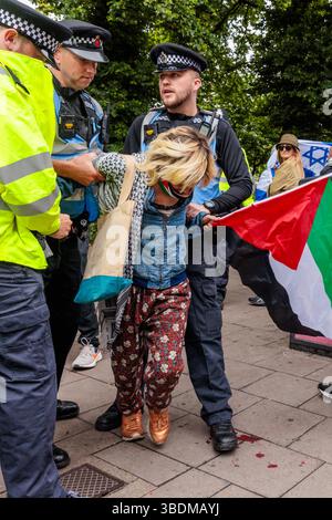 Brighton, Sussex, Royaume-Uni. 24 mai 2025. Un partisan pro-palestinien arrêté à Brighton, Sussex, lors de la manifestation de Brighton PSC (Palestine Solidarity Campaign). Crédit : Amanda Rose/Alamy Live News Banque D'Images