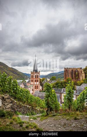 Vue depuis les vignobles d'une vieille ville historique avec ses maisons à colombages. Point de vue sur le Rhin, Bacharach, Hesse, Allemagne Banque D'Images