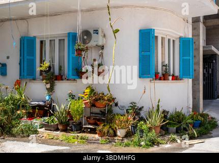 Maison chypriote traditionnelle avec volets bleus et plantes en pot colorées, vieille ville de Paphos, Paphos, Chypre Banque D'Images
