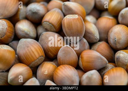 Macro gros plan de tas de noisettes écaillées crues, nourriture saine rurale Banque D'Images