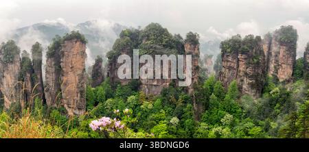Falaise de montagne Zhangjiajie à Wulingyuan Hunan Chine Banque D'Images