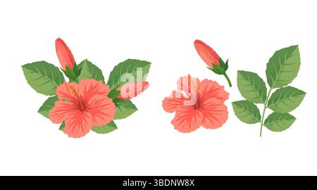 Hibiscus tropical fleurs et feuilles illustration vectorielle Illustration de Vecteur