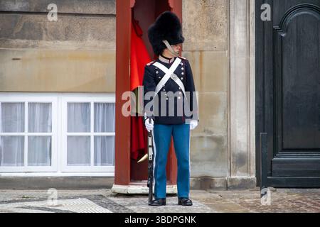 Königliche Leibgarde vor Wachhäuschen am Schloss Amalienborg, Kopenhagen Banque D'Images