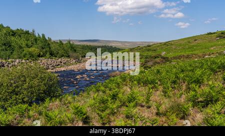 Pennine Way et River Tees entre Bleabeck Force et High Force, près de Bowlees, comté de Durham, Angleterre, Royaume-Uni Banque D'Images