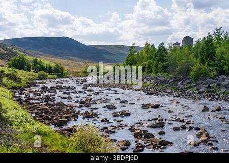 Pennine Way et River Tees entre Bleabeck Force et High Force, près de Bowlees, comté de Durham, Angleterre, Royaume-Uni Banque D'Images