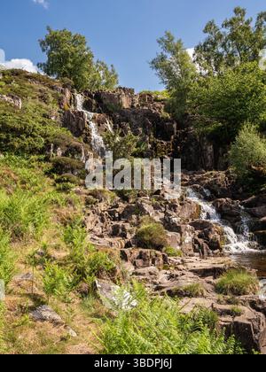 La Bleabeck Force près de la rivière Tees, comté de Durham, Angleterre, Royaume-Uni Banque D'Images
