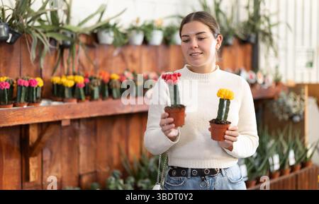 La femme choisit les cactus Banque D'Images