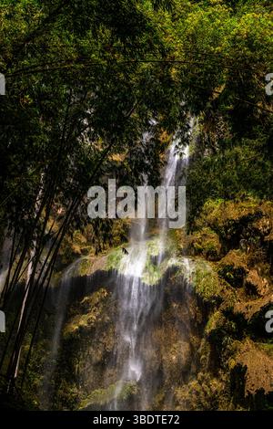 Une cascade tropicale inhabituelle. De minces ruisseaux d'eau coulent le long des terrasses en pierre moussue dans le lac turquoise. Végétation verte. Philippines. Cebu. Banque D'Images