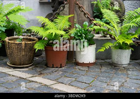 Conception d'un jardin moderne. Passerelles en panneaux composites bois-plastique. Une bordure en pierre naturelle et pots de fleurs. Jardinage et décoration de Banque D'Images