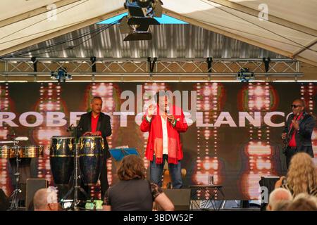 Stadl an der mur, Steiermark, Österreich, Europa : Entertainer-Legende Roberto Blanco beim 40. Firmenjubiläum der Almdorfbau, Marktführer für Luxus-Chalets, im Stadler Gewerbegebiet. Musik, Stimmung, Jubiläumsfest, regionale Wirtschaft, Traditionsbetrieb, Prominenz, spectacle, Sommerfest, Publikumsmagnet, Unterhaltung, Bauunternehmen, Feierlaune, Kultfigur, Tourismus, Premiumimmobilien. *** Stadl an der mur, Styrie, Autriche, légende de l'artiste Roberto Blanco à l'occasion du 40e anniversaire de la société Almdorfbau, leader du marché des chalets de luxe, dans la zone industrielle Stadler Music, Atmosphere, a Banque D'Images