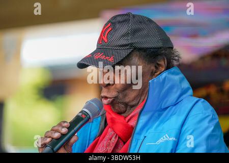 Stadl an der mur, Steiermark, Österreich, Europa : Entertainer-Legende Roberto Blanco beim 40. Firmenjubiläum der Almdorfbau, Marktführer für Luxus-Chalets, im Stadler Gewerbegebiet. Musik, Stimmung, Jubiläumsfest, regionale Wirtschaft, Traditionsbetrieb, Prominenz, spectacle, Sommerfest, Publikumsmagnet, Unterhaltung, Bauunternehmen, Feierlaune, Kultfigur, Tourismus, Premiumimmobilien. *** Stadl an der mur, Styrie, Autriche, légende de l'artiste Roberto Blanco à l'occasion du 40e anniversaire de la société Almdorfbau, leader du marché des chalets de luxe, dans la zone industrielle Stadler Music, Atmosphere, a Banque D'Images