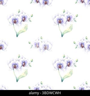 Motif sans couture d'aquarelle d'orchidée blanche. Illustration peinte à la main avec de délicates fleurs tropicales blanches et bleues avec des feuilles vertes. Idéal pour Banque D'Images