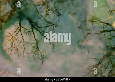 Motifs abstraits dans l'eau un effet de double exposition Banque D'Images