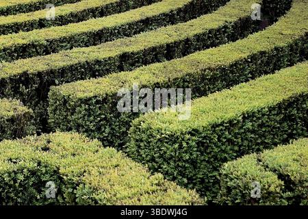 Labyrinthe vert géométrique avec haies topiaires Banque D'Images