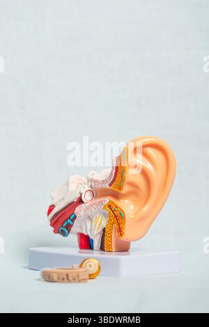 Modèle anatomique en plastique de l'oreille humaine montrant la structure de l'oreille interne avec un dispositif de prothèse auditive placé à proximité, illustrant le concept de traitement de la perte auditive Banque D'Images