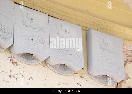 Dresde, Allemagne. 26 mai 2025. Vue sur plusieurs toits de chauves-souris dans le couloir de colonnade dans les bains romains. Les bains situés sous le château d'Albrechtsberg, fermés depuis dix ans, sont en cours de rénovation conformément à leur statut classé. Crédit : Sebastian Kahnert/dpa/Alamy Live News Banque D'Images