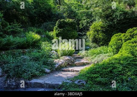 Paisible sentier de jardin niché dans un riche feuillage Banque D'Images