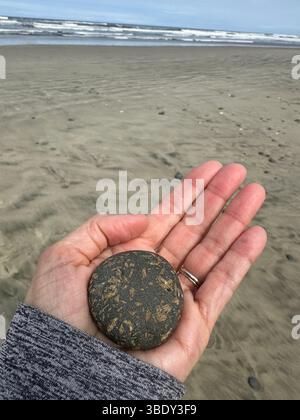 Gros plan d'une main tenant une pierre ronde mouchetée sur une plage. Banque D'Images
