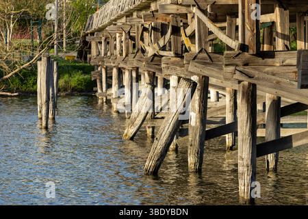 Un charmant pont piétonnier en bois s'étend sur la rivière, ses planches altérées offrant un chemin rustique à travers la nature. Le flux serein du ri Banque D'Images