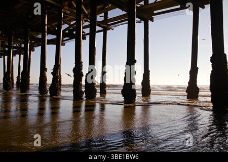 Supports sous Santa Monica Pier Banque D'Images